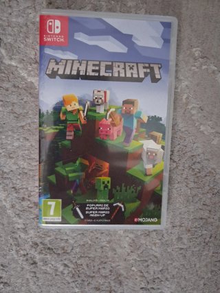 Minecraft Nintendo Switch