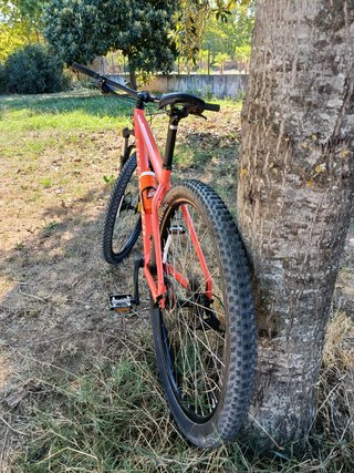 Bicicleta Specialized Rockhopper L