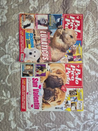 Revistas pelo pico pata