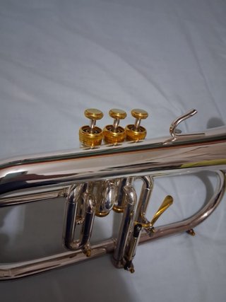 Fliscorno Stomvi Elite