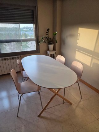 Mesa de comedor ovalada y 4 sillas