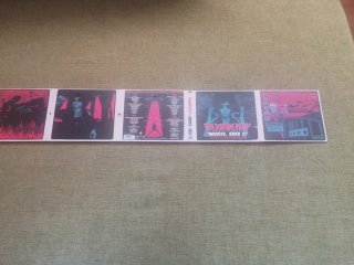 CD Bunbury Madrid, Área 51