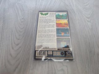 Sega Saturn Bug!