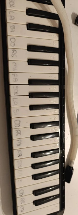 Melodica con note musicali marcate