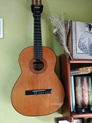 Guitarra española. Admira modelo paloma.