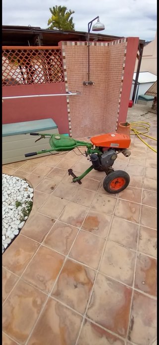 Motoazada Agria 3000 Minsel 2T