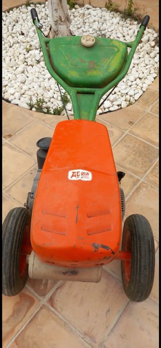 Motoazada Agria 3000 Minsel 2T