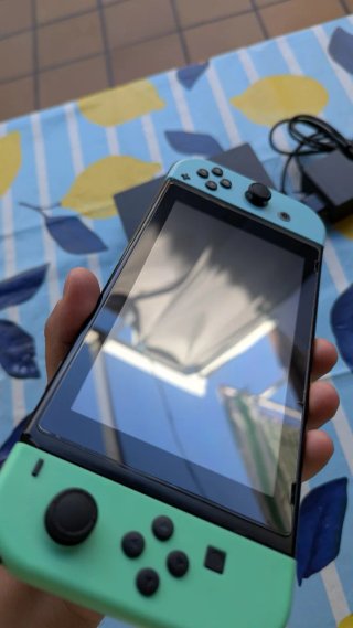 Nintendo Switch Perfecta