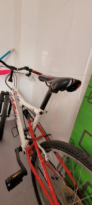 Bicicleta Rozado 24 Doble Suspensión