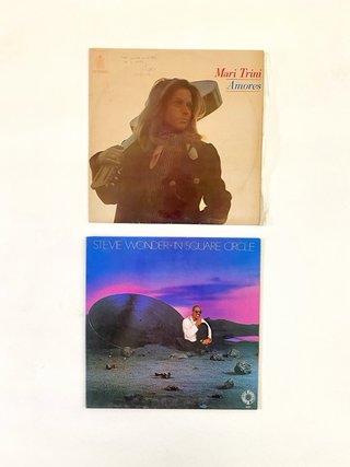 Lote 14 Vinilos Varios - Fiesta