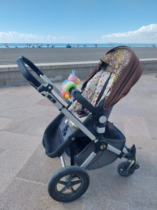 Carro Bugaboo Camaleón Negro Capota Verde