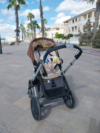 Carro Bugaboo Camaleón Negro Capota Verde