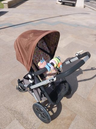 Carro Bugaboo Camaleón Negro Capota Verde