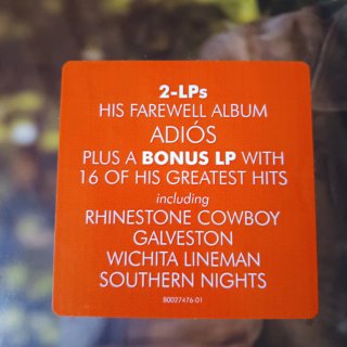 Glen Campbell Adios 2 Vinili LP Country