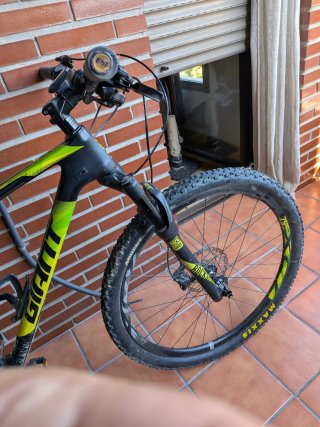 Bicicleta MTB Carbono monoplato talla L