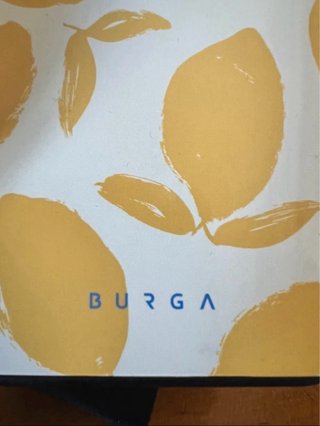 Funda iPhone 13 Pro Max BURGA Limones
