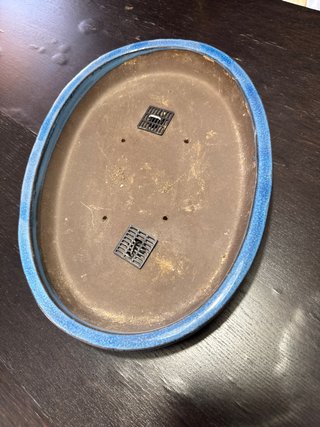 Maceta Bonsái Cerámica Azul poco profunda