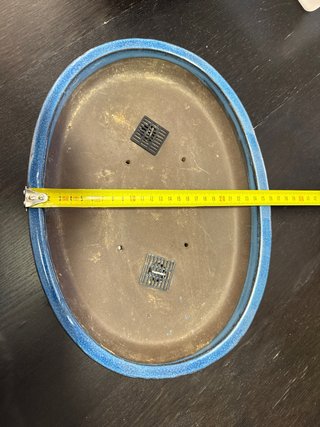 Maceta Bonsái Cerámica Azul poco profunda