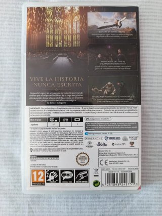 Hogwarts Legacy Nintendo Switch