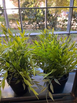 4 plantas artificiales Ikea con 2 maceteros