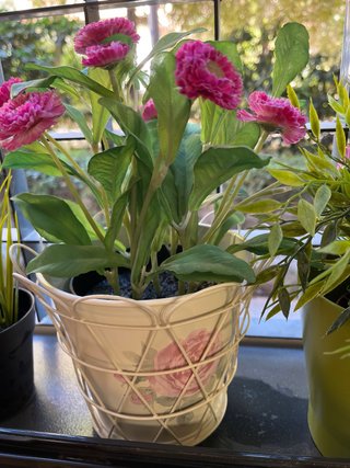 4 plantas artificiales Ikea con 2 maceteros