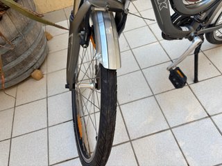 Bicicleta Trek Mujer Gris