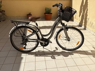 Bicicleta Trek Mujer Gris