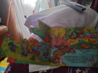 Tito y Minú en el bosque libro infantil pág.Carton