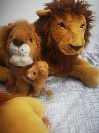 Lote Peluches rey león