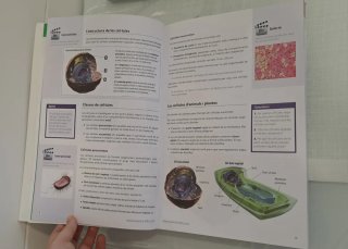 Els éssers vius, Biologia 1 ESO, Science Bits