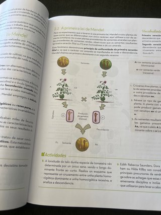 Bioloxía e xeoloxía, 4o ESO.