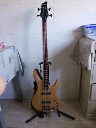 Bajo Ibañez Ergodyne