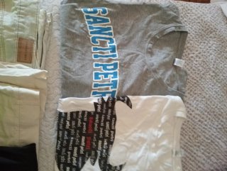 Lote Ropa: Camisetas, Polo y Bermudas