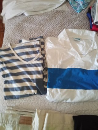 Lote Ropa: Camisetas, Polo y Bermudas