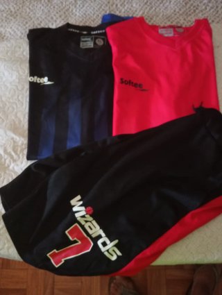 Lote Ropa: Camisetas, Polo y Bermudas