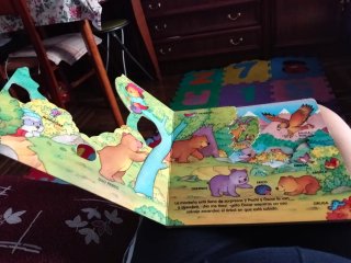 Cuento infantil Pachi y Óscar en la montaña