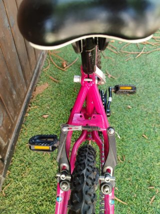 Bicicleta infantil 20 pulgadas (6-9 años)