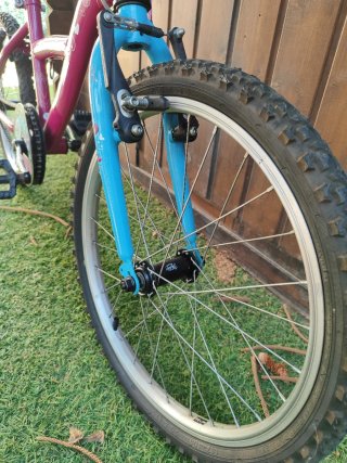 Bicicleta infantil 20 pulgadas (6-9 años)