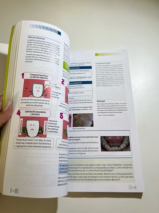 Estudio de la cavidad oral