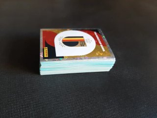 LOTE CROMOS MUNDIAL PANINI