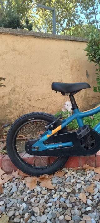 Bicicleta infantil 4-7 años