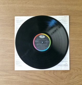 Tina Turner - Foreign Affair Vinilo LP 1989