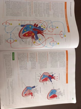 Biología, Geología y Ciencias Ambientales 1 Bac...