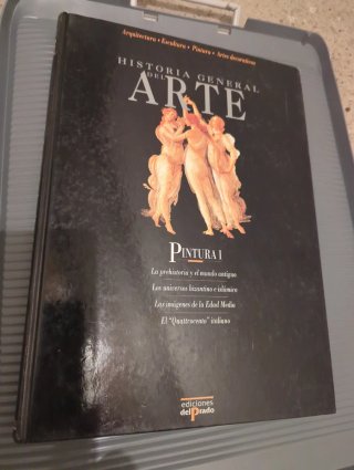 Historia general del arte pintura I