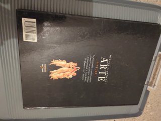 Historia general del arte pintura I