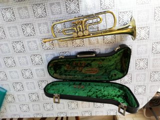 Trompeta Sib con estuche