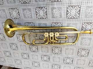 Trompeta Sib con estuche