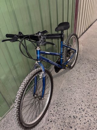 Lote 2 Bicicletas Orbea y BH