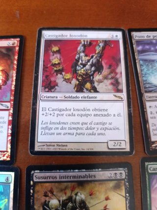 Cartas Magic The Gathering Foil