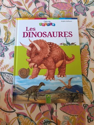 Libro en francés para niño/as. Les dinosaures